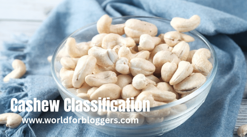 cashew classification
